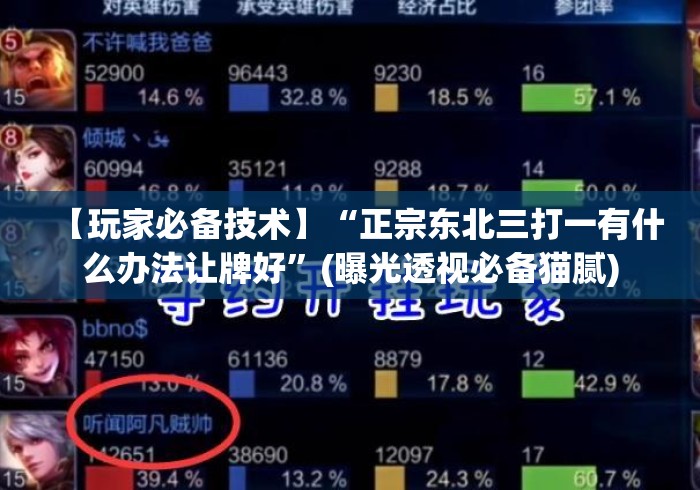 【玩家必备技术】“正宗东北三打一有什么办法让牌好”(曝光透视必备猫腻)