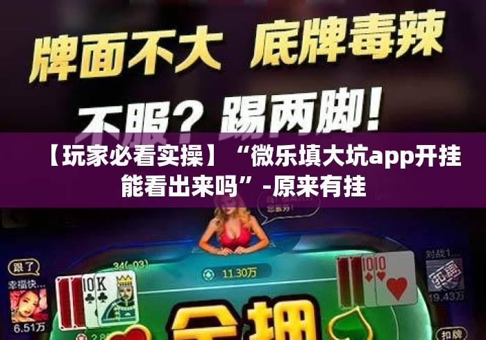【玩家必看实操】“微乐填大坑app开挂能看出来吗”-原来有挂