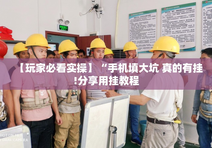 【玩家必看实操】“手机填大坑 真的有挂!分享用挂教程