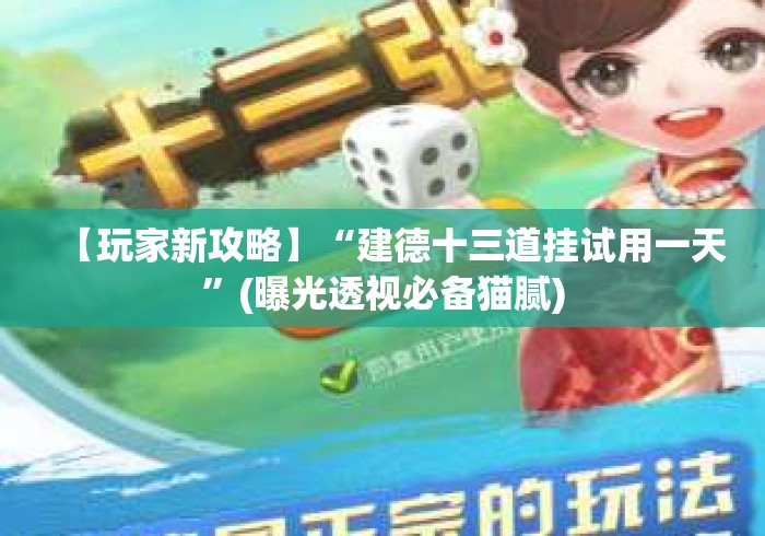 【玩家新攻略】“建德十三道挂试用一天”(曝光透视必备猫腻)