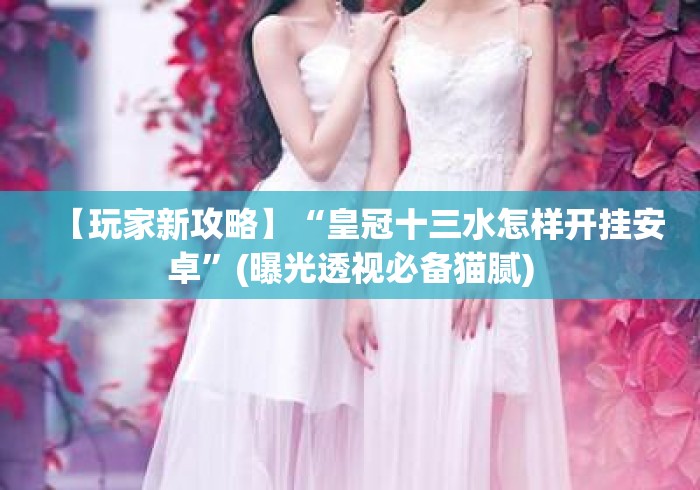 【玩家新攻略】“皇冠十三水怎样开挂安卓”(曝光透视必备猫腻)