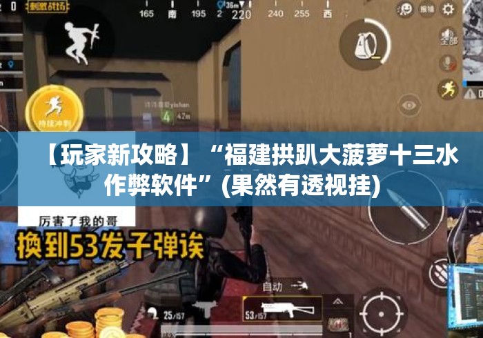 【玩家新攻略】“福建拱趴大菠萝十三水作弊软件”(果然有透视挂)