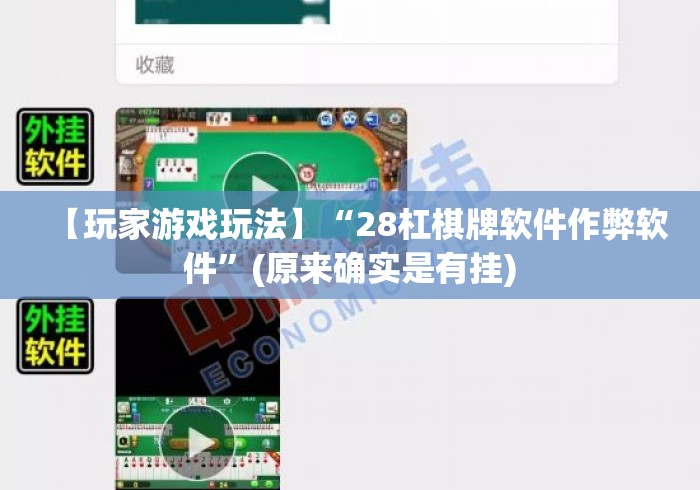【玩家游戏玩法】“28杠棋牌软件作弊软件”(原来确实是有挂)