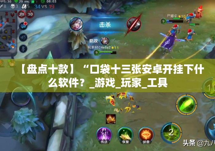 【盘点十款】“口袋十三张安卓开挂下什么软件？_游戏_玩家_工具